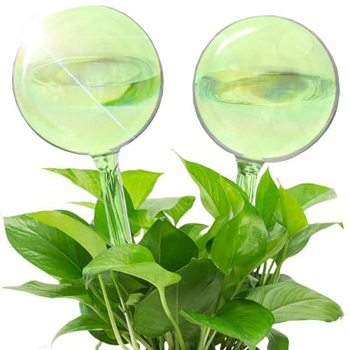 Self Watering Plant Globes - 2 pack