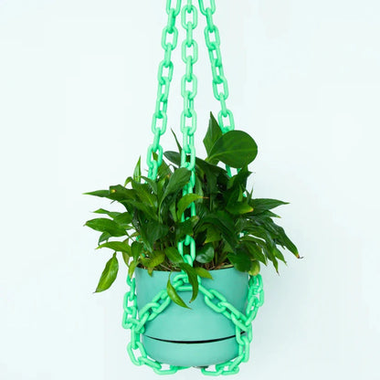 Plant Hangers by Woljam Studios