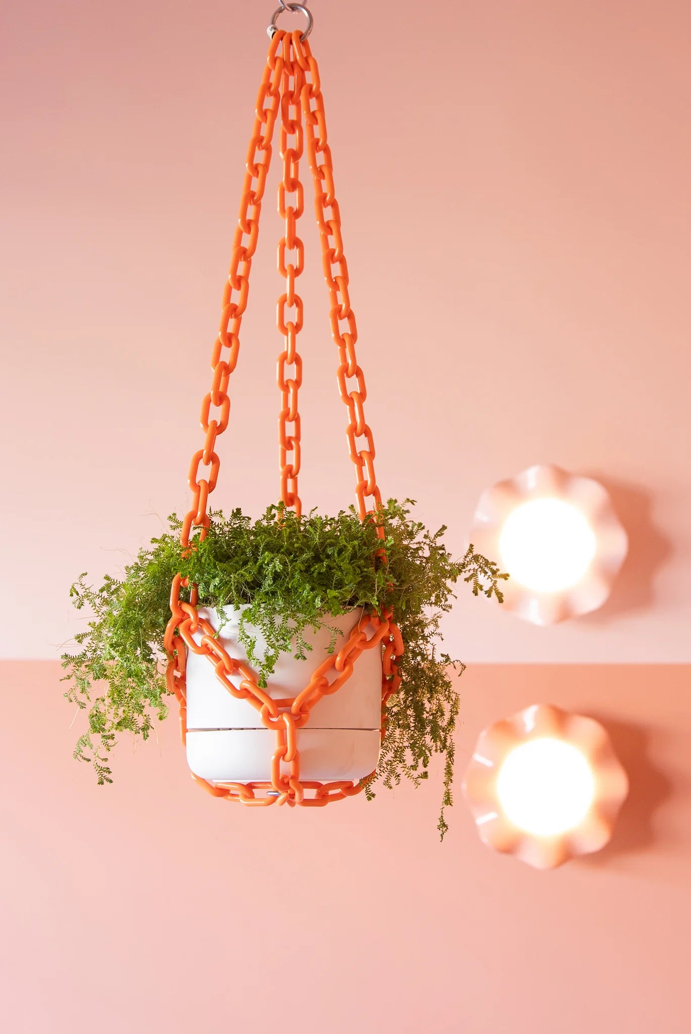 Plant Hangers by Woljam Studios