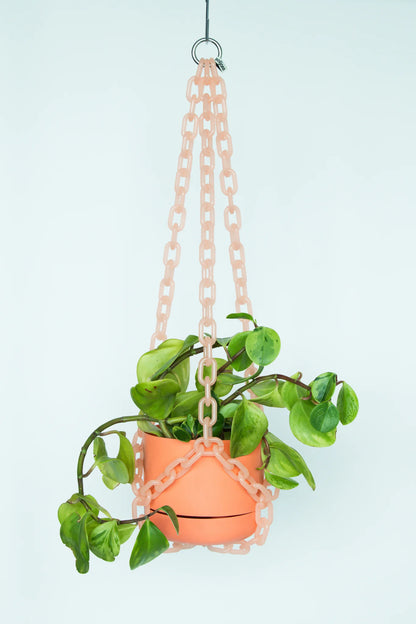 Plant Hangers by Woljam Studios