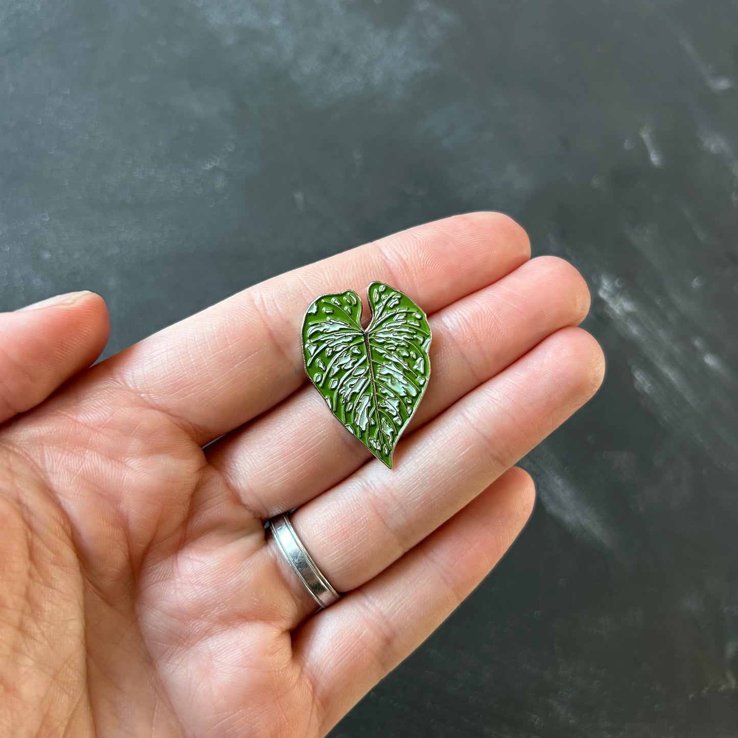 Planti Pin - Philodendron Mamei