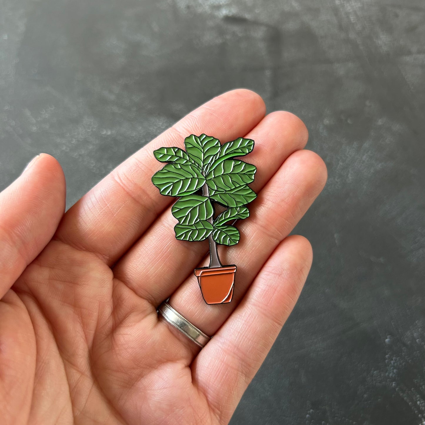Planti Pin - Fiddle Leaf Fig
