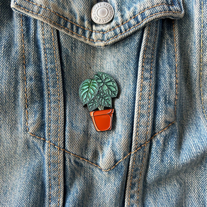 Planti Pin - Alocasias (Assorted)