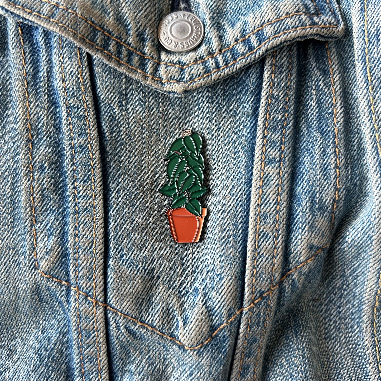 Planti Pin - Heart Leaf Philodendron