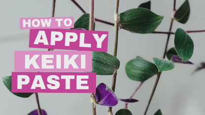 Crazy Keiki Cloning Paste by Southside