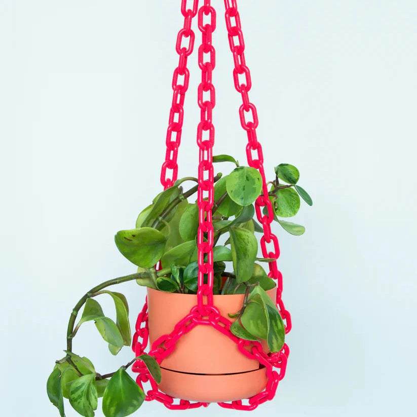 Plant Hangers by Woljam Studios