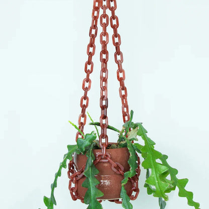 Plant Hangers by Woljam Studios