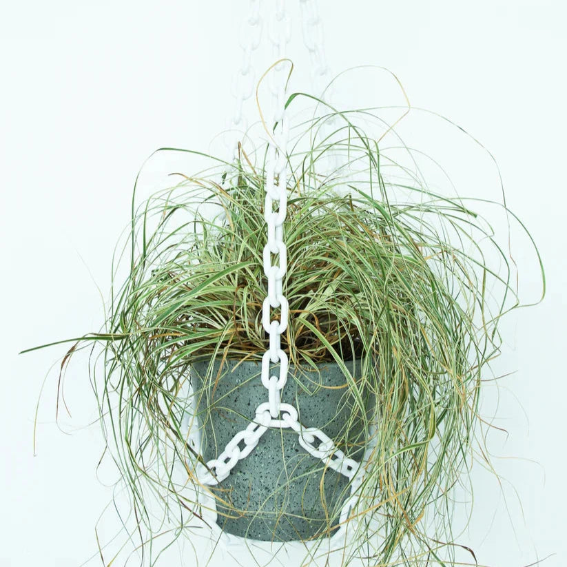 Plant Hangers by Woljam Studios