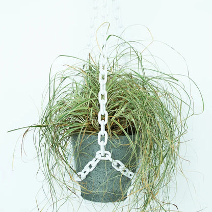 Plant Hangers by Woljam Studios