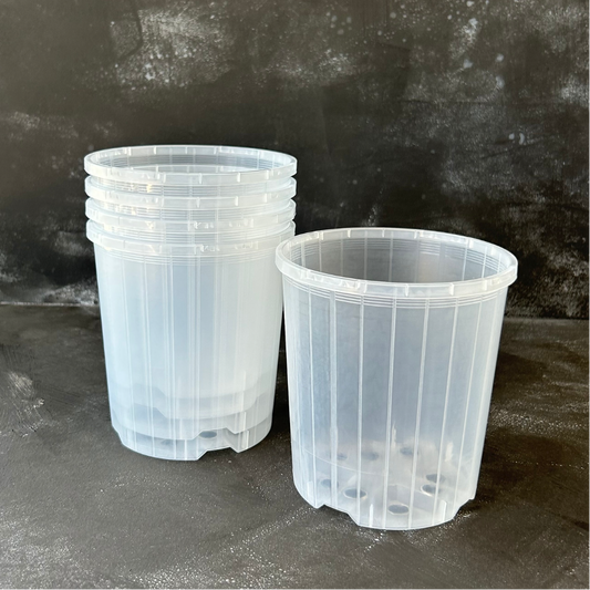 5 pack of 125mm Clear Nursery Pot for Indoor Plants like Aroids, Orchids, and Succulents.