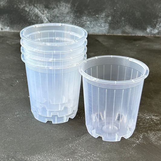 5 pack of 70mm Clear Nursery Pot for Indoor Plants like Aroids, Orchids, and Succulents.